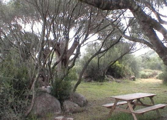 Les Bergeries D'Ogliastrello Vila Figari  Exterior foto